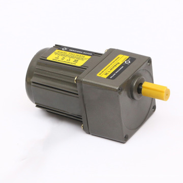 15W 50/60Hz Reversible Gear Motor with Gearbox